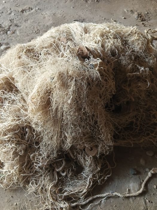 Балик тор бор куп