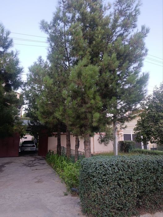 Коттедж сотилади