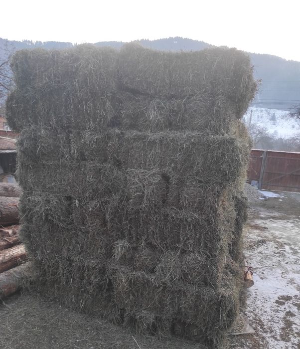 Baloti otavă / fan de grădină