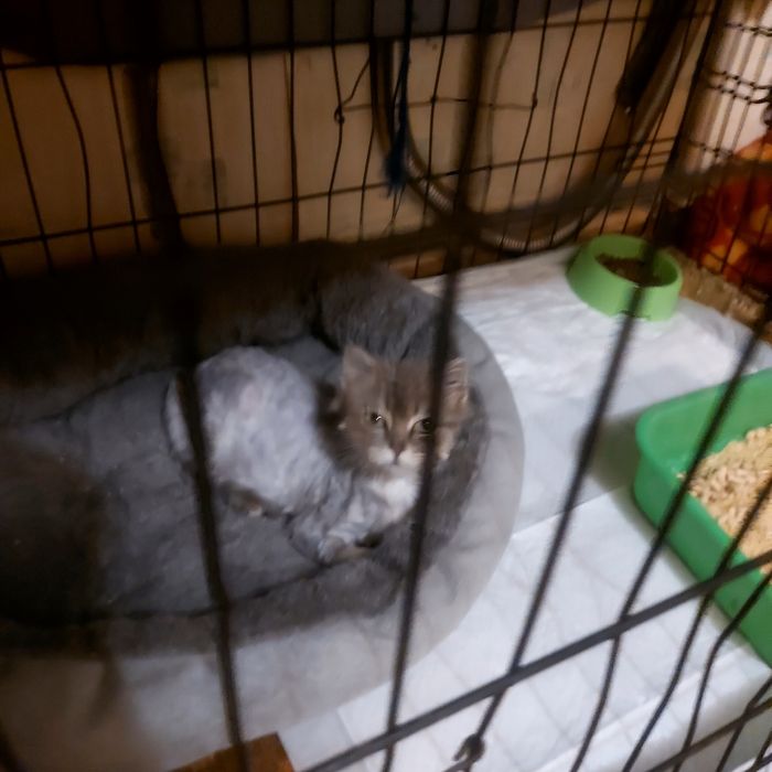 Ищет самые родные и ответственные ручки!