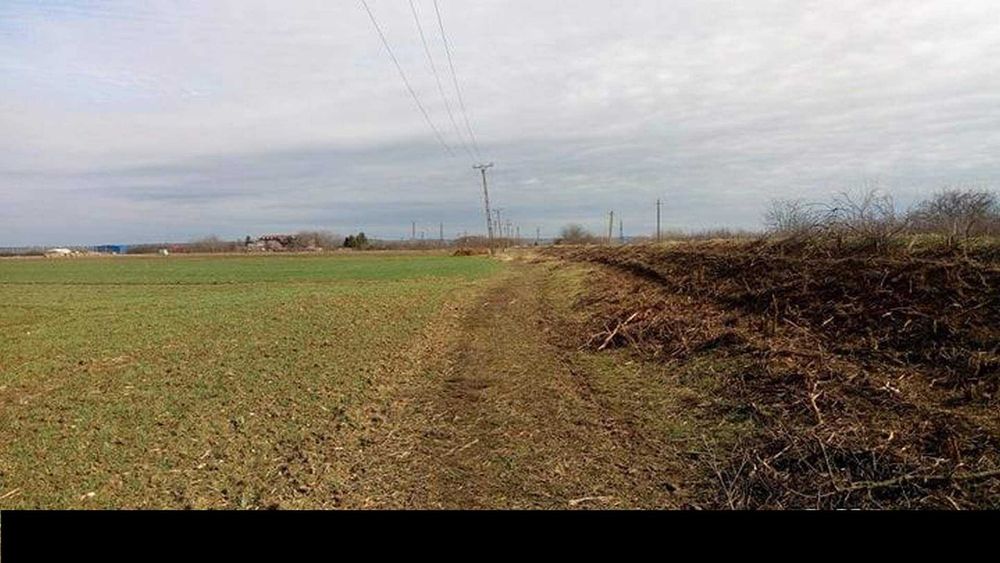 Teren agricol extravilan de vânzare – Borș / Sîntion, județul Bihor