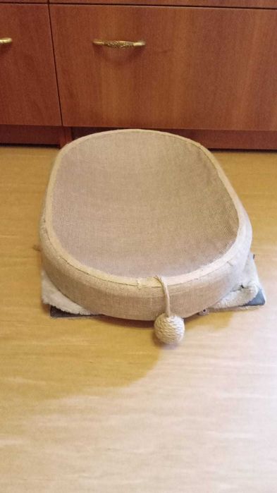 Зооняня для кошечек