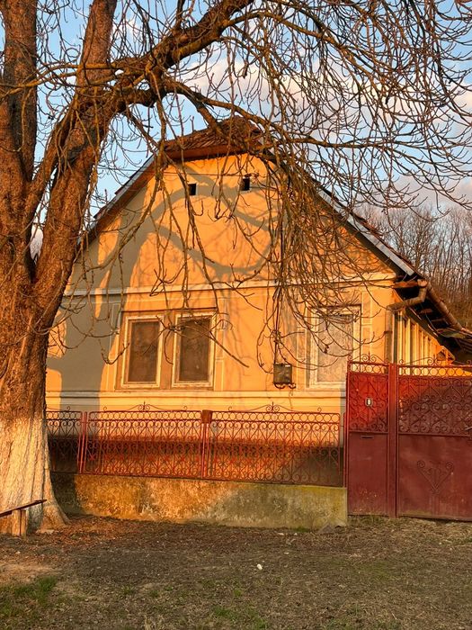 Vand casa si gradina