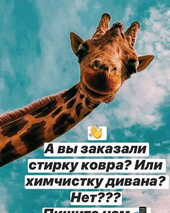 700т кв м Чистка /стирка ковров