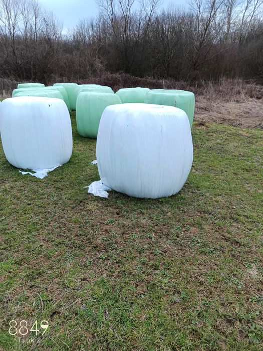 Baloti de lucerna foliatoi