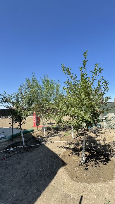 СРОЧНО продам дом!!