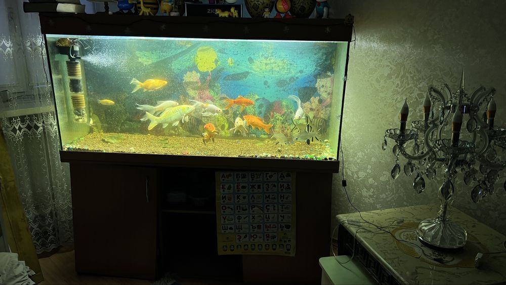 Продам огромный аквариум