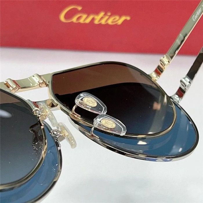 Мъжки слънчеви очила Картие