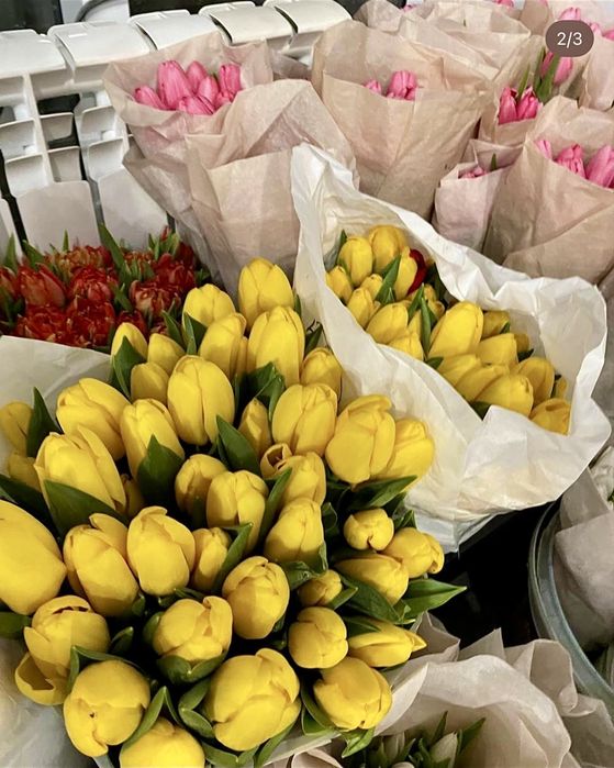 Свежие Тюльпаны-Голландия,Костанай