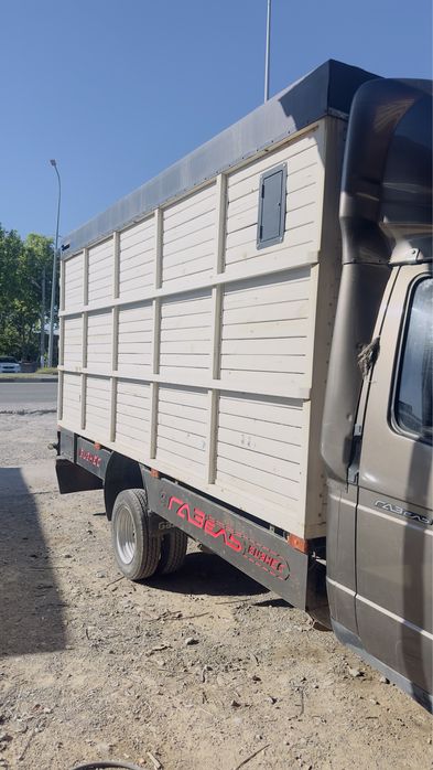 Борт на газель .