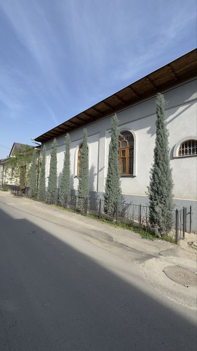 Keparis archa italiyadan keltirilgan