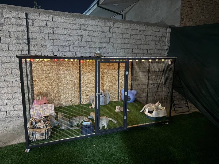 Вальер клетка для животных