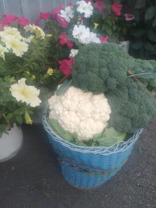 Продам дом в Имантау