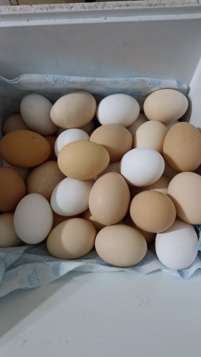 Продам яйцо домашнее.