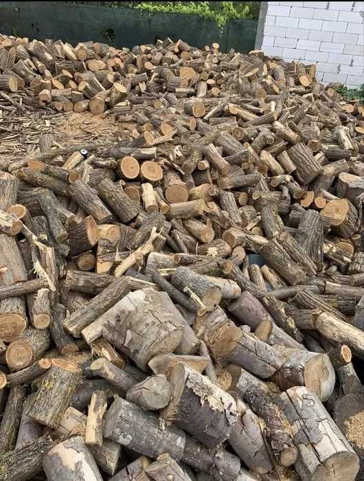 Lemne de foc - esență tare