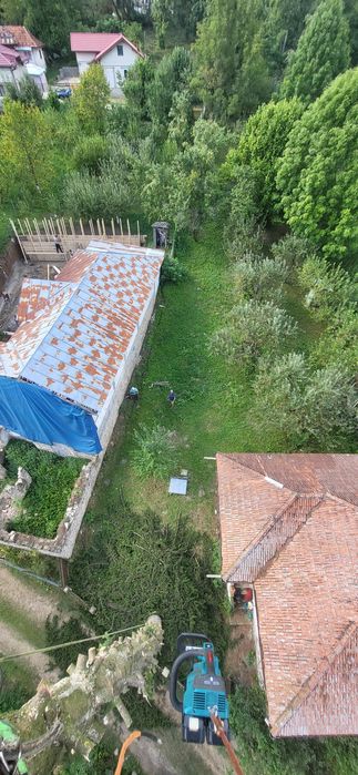 taiere, brazi /plopi /stejari  dificili,  uscat greu accesibili