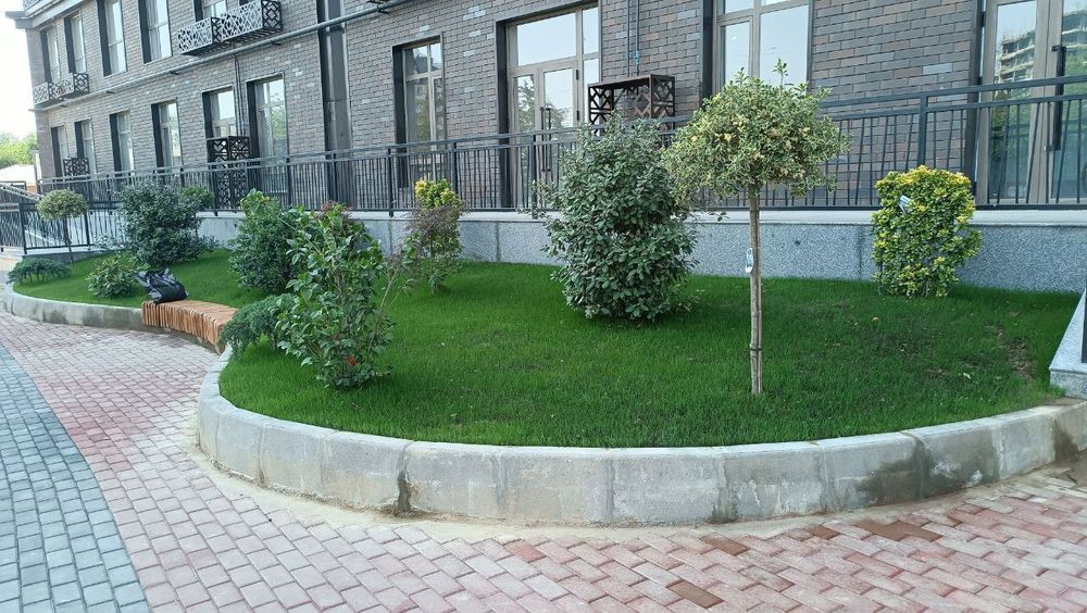 Газон экиш хизмати