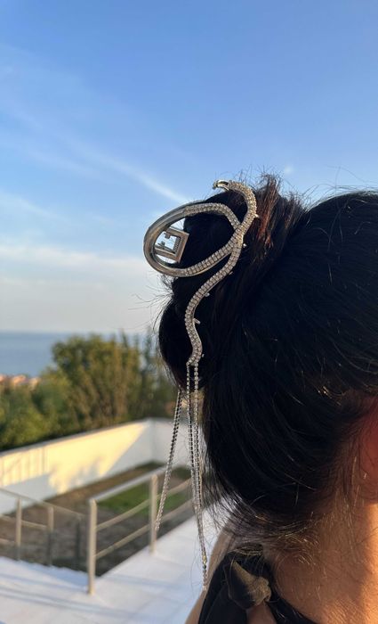 Шноли бижу за вашия повод