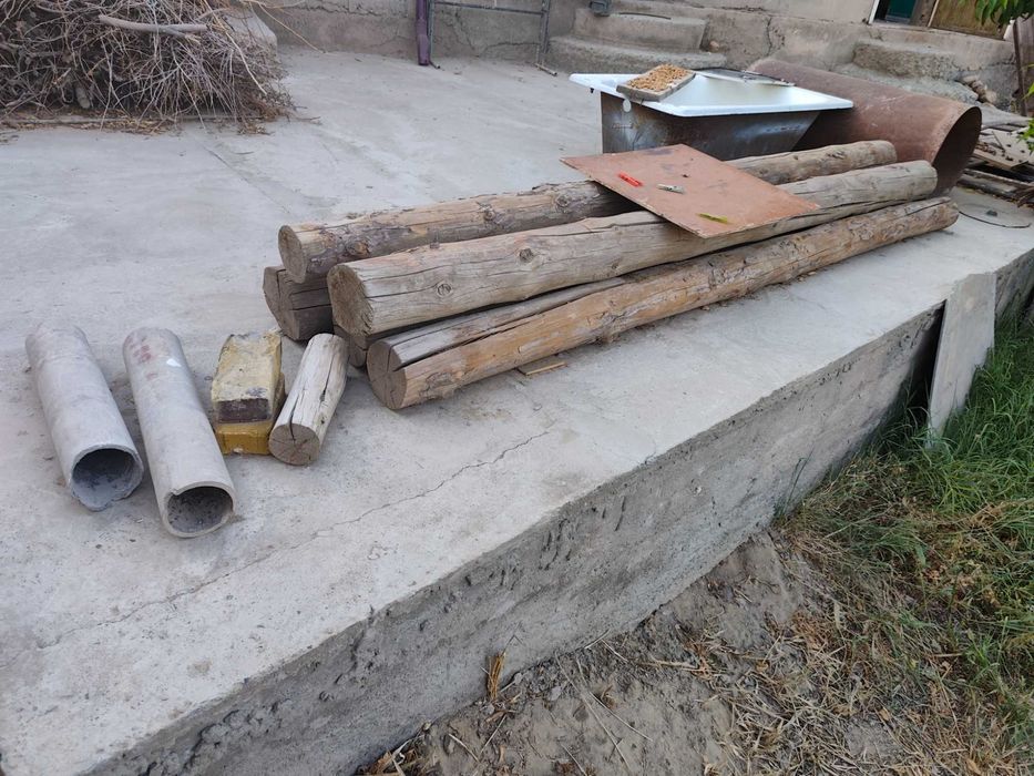 Тамнын басына агаш