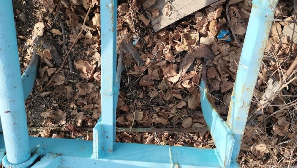 Чизель с граблями в отличном состоянии