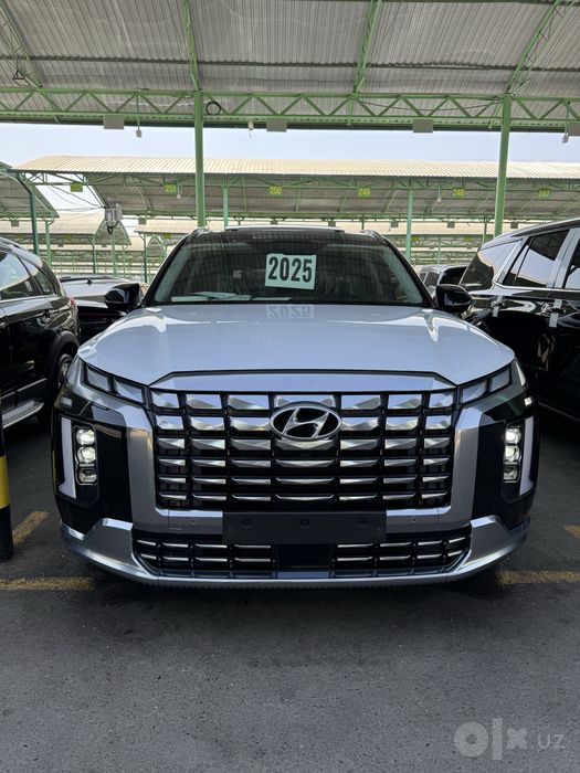 Palisade 2025 ideal xolata