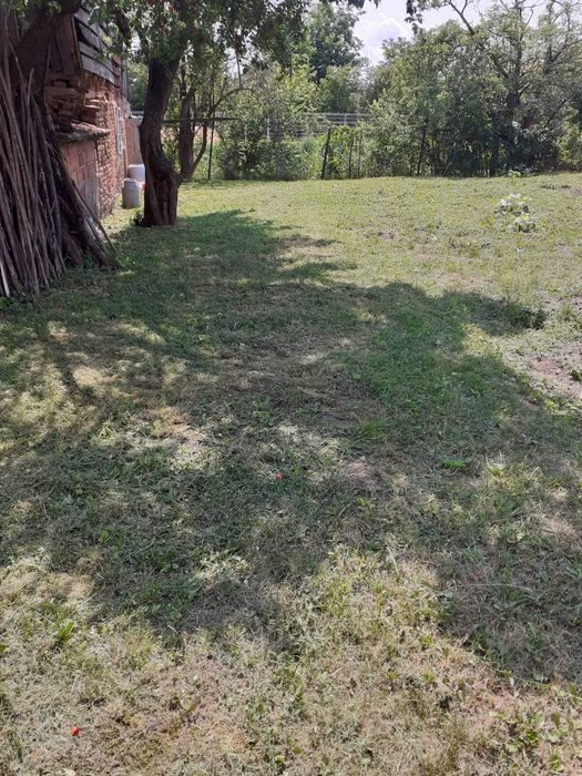 vanzare teren cu casa in terezian