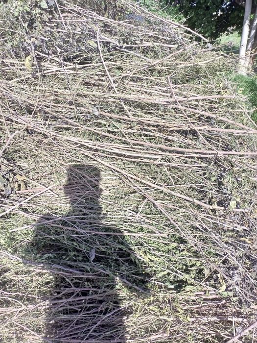 ÕTIN  SOTILADI Shofirkon Bogiafzal mfy