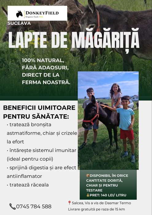 Lapte de măgăriță salcea