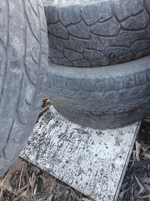 Шины на 16 летние
