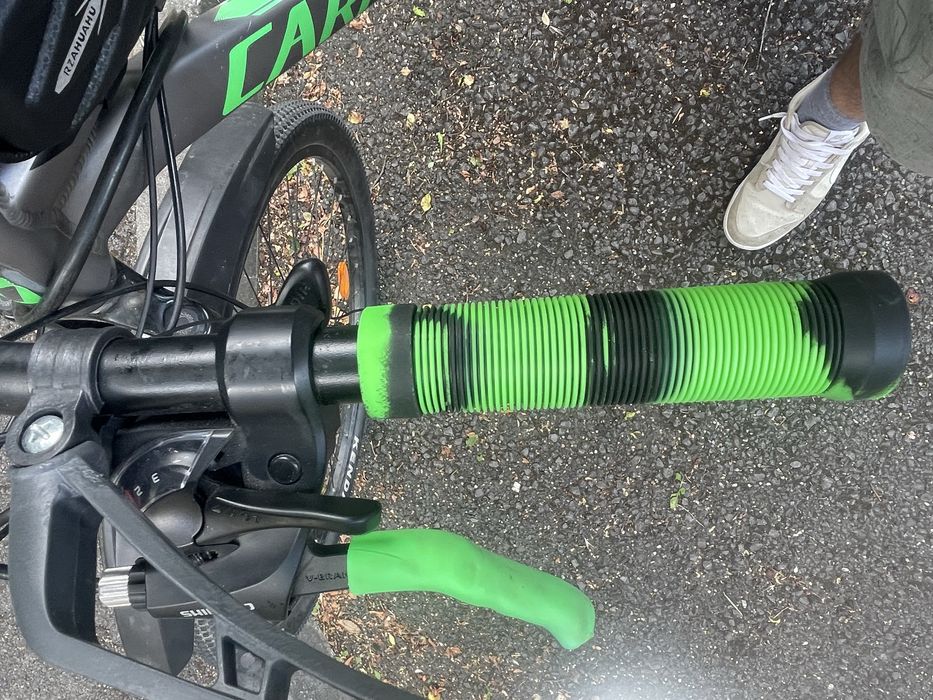 Bicicleta Carpat de vanzare