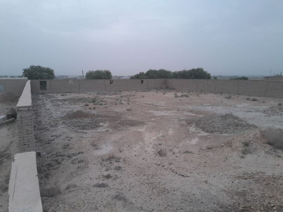 Молхона 20 сотихли