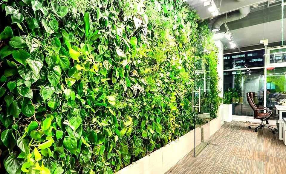 Искусственные Газоны всех видов 40х60см на стену - ФИТО СТЕНА