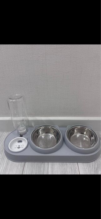 Продам шотландского котенка