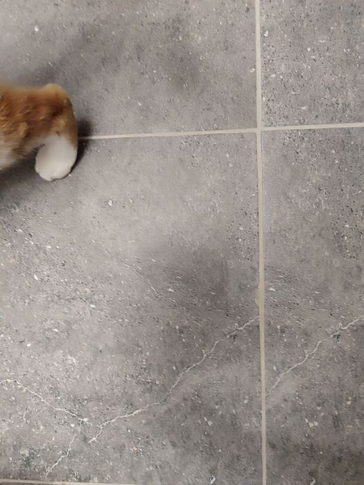 Плитка керамогранит