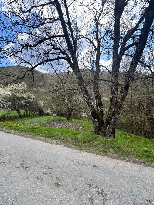 Продава се Парцел в с. Васильово, Област Ловеч - 2000 кв.м за 32 €/кв.м - Снимка #4