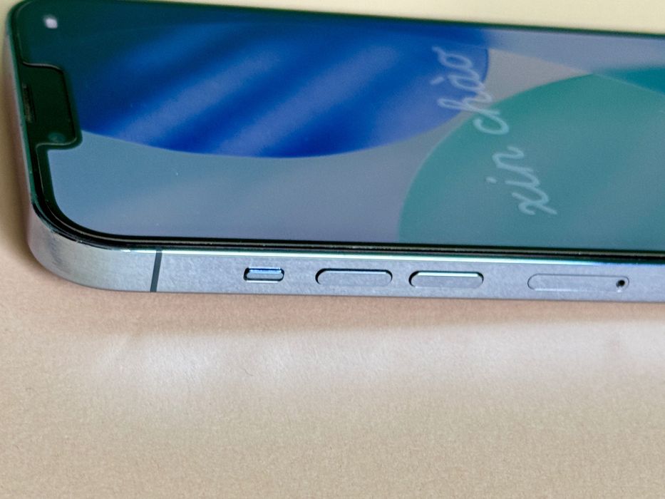 IPhone 13 Pro Max 512 Gb