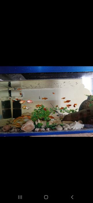 Продам 2 аквариума