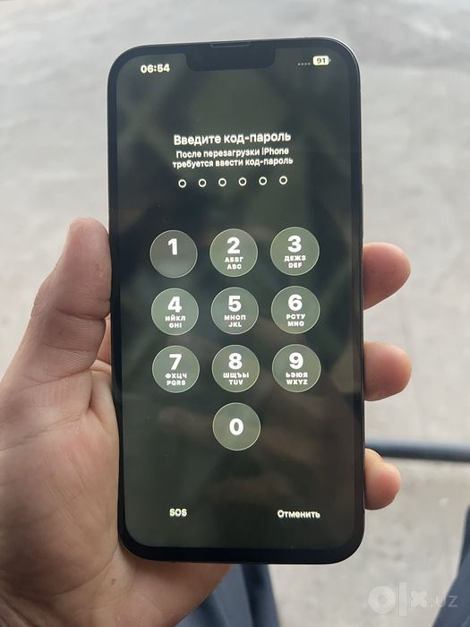 Iphone 13 pro max
