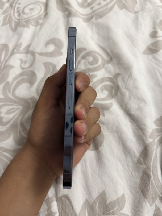 Iphone 13 pro max 1 терабайт
