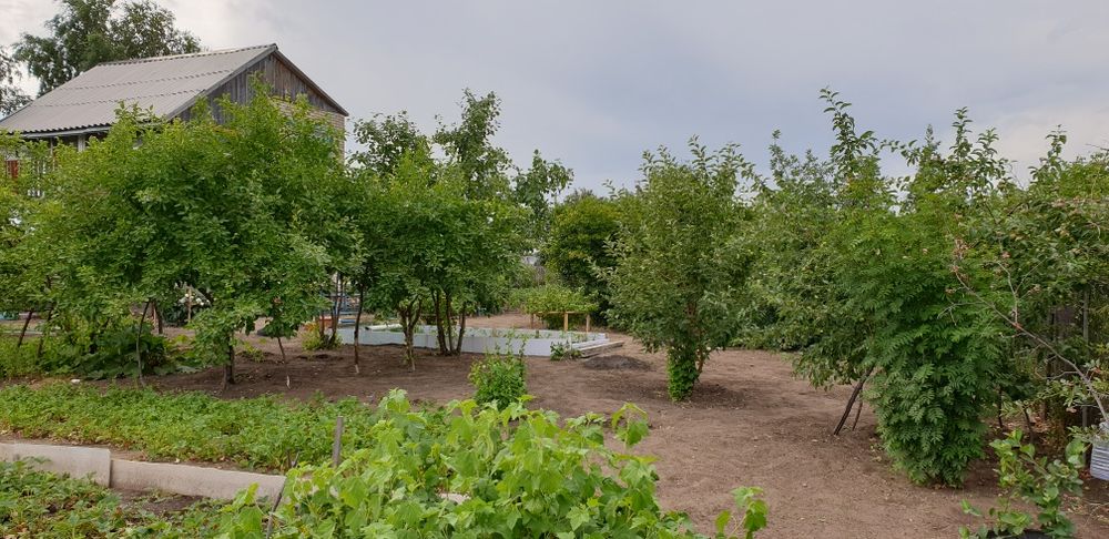 Дача 12 соток СО Текстильщик-2