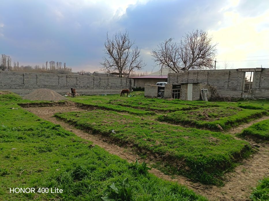 Yangi bozorda 10 sotix yer maydoni  sotiladi