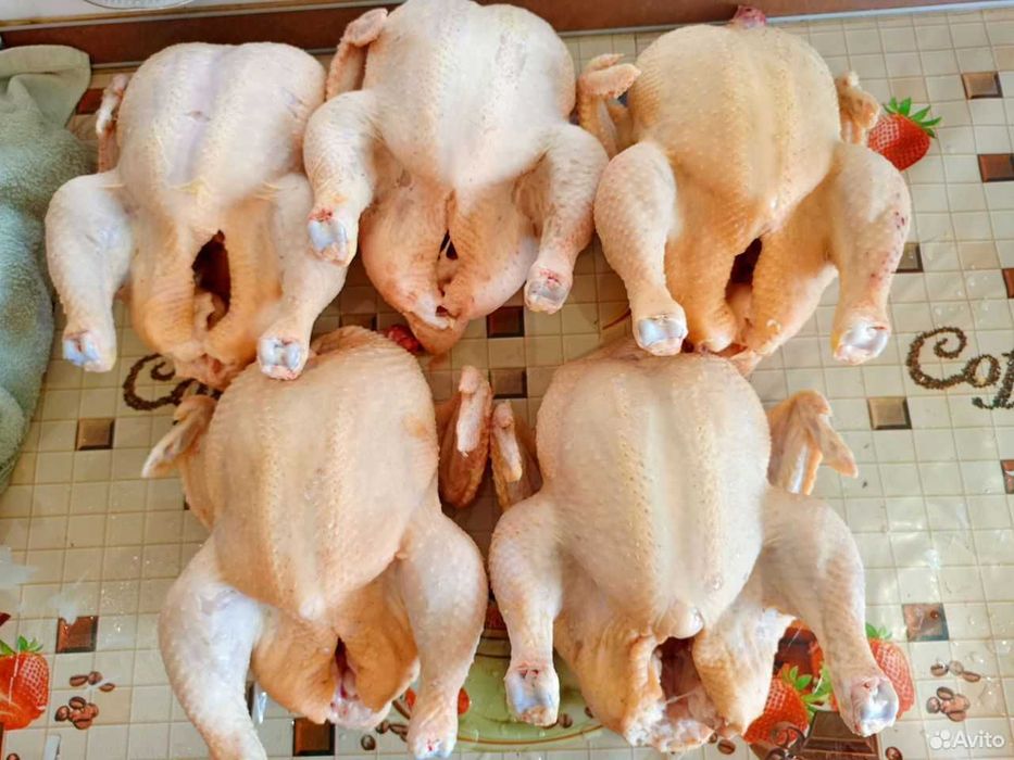 Мясо Домашнего Индюка, Утки, Бройлера, Индаутки