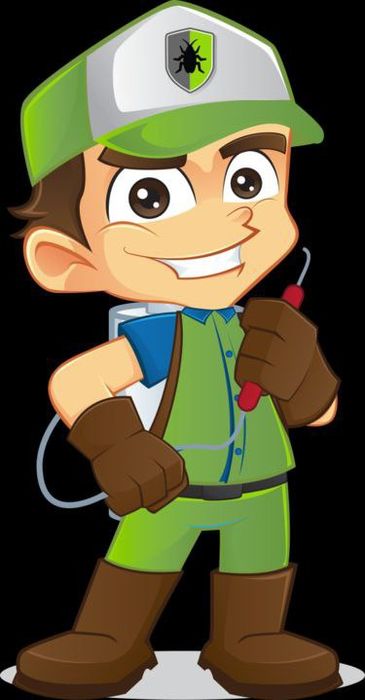 Дезинфекция квартир от клопов и тараканов