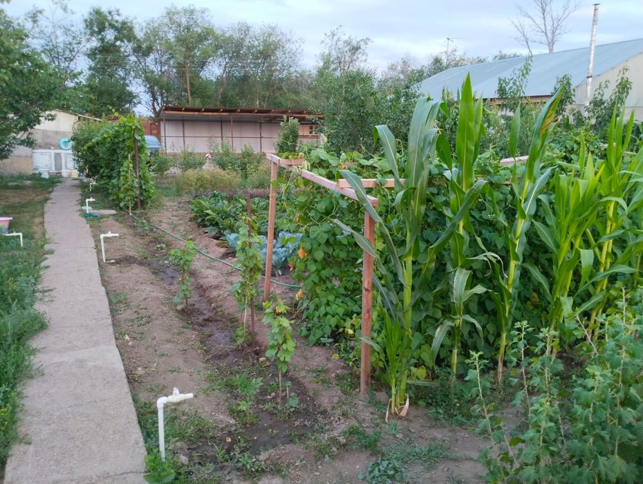 Продам дом 12 соток