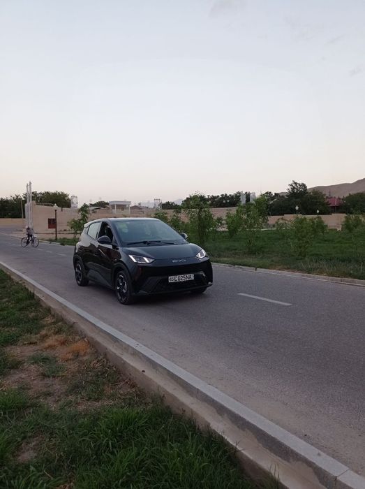 BYD  Treding  Barter