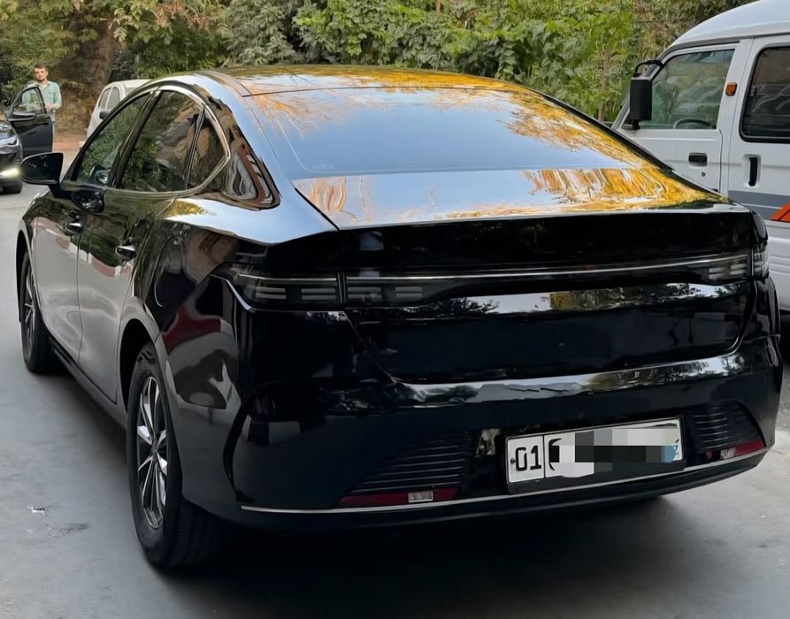 BYD Chazor 2024 — 4