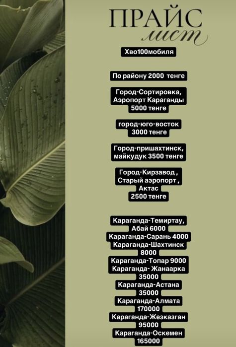 Зоотакси,перевозка животных