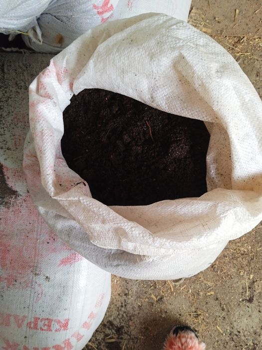 Biogumus-organik chiqindilar va Kaliforniya qizil chuvalchangi sotamiz