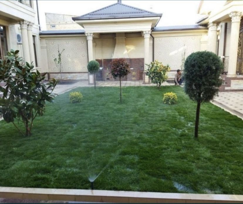 Рулон газон высшего качесства