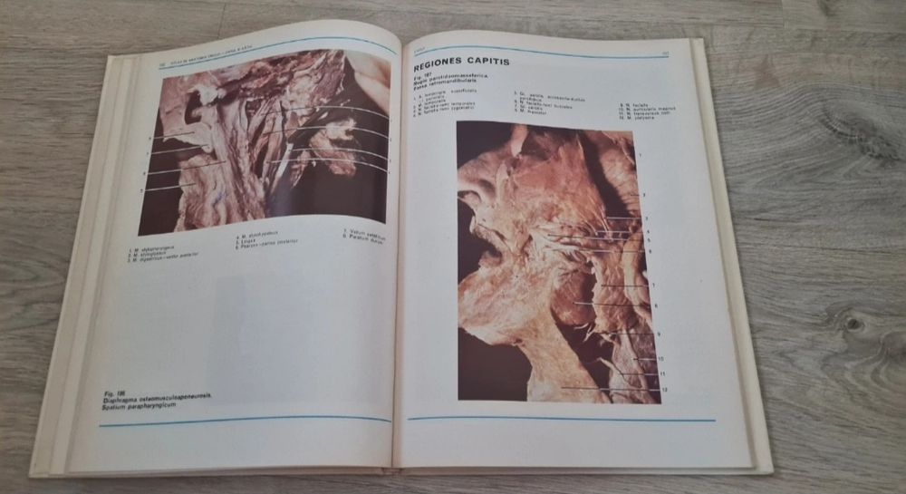 Atlas de anatomia omului (Capul și gâtul) - lon Passat